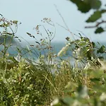 Ferienbauernhof Liesenberg Backhaus Nr 18 * Fehmarn