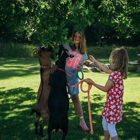 بيت للعطل Ferienbauernhof Liesenberg Backhaus Nr 18