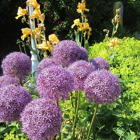 Ferienbauernhof Liesenberg Backhaus Nr 18 *