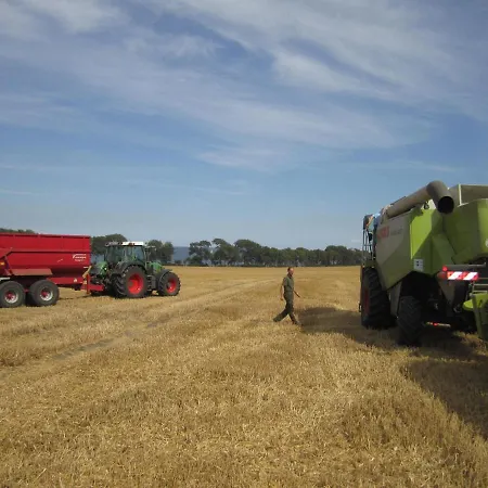 Nyaraló Ferienbauernhof Liesenberg Backhaus Nr 18 *