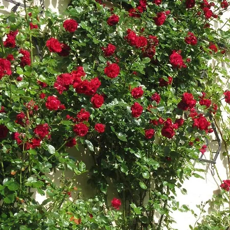 Ferienbauernhof Liesenberg Backhaus Nr 18 *