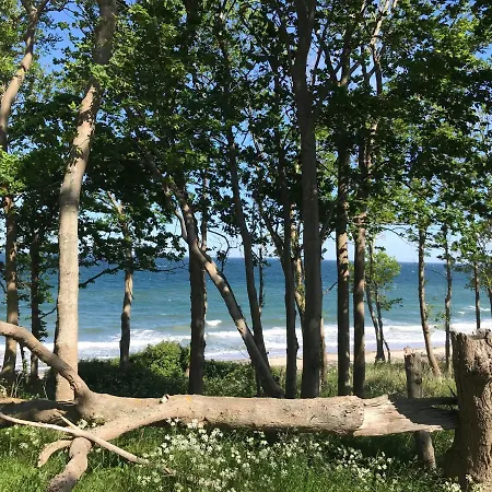 بيت للعطل Ferienbauernhof Liesenberg Backhaus Nr 18