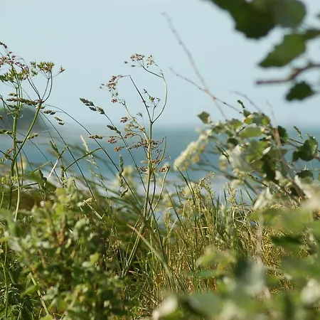 Ferienbauernhof Liesenberg Backhaus Nr 18 * フェーマルン
