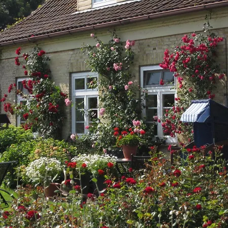 بيت للعطل Ferienbauernhof Liesenberg Backhaus Nr 18