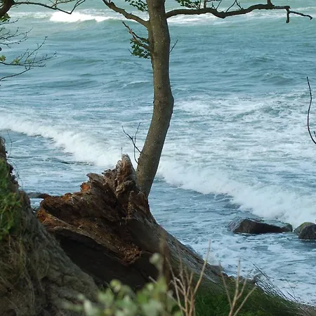 Ferienbauernhof Liesenberg Backhaus Nr 18