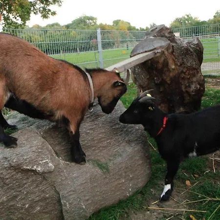 Ferienbauernhof Liesenberg Backhaus Nr 18 بيت للعطل