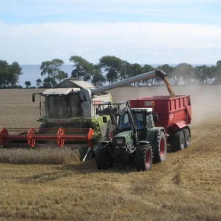 Ferienbauernhof Liesenberg Backhaus Nr 18 بيت للعطل