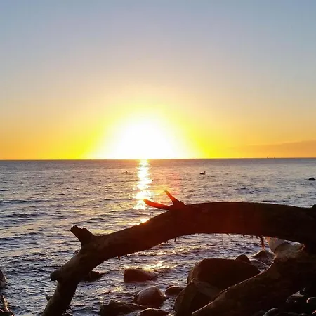 بيت للعطل Ferienbauernhof Liesenberg Backhaus Nr 18 فيهمارن