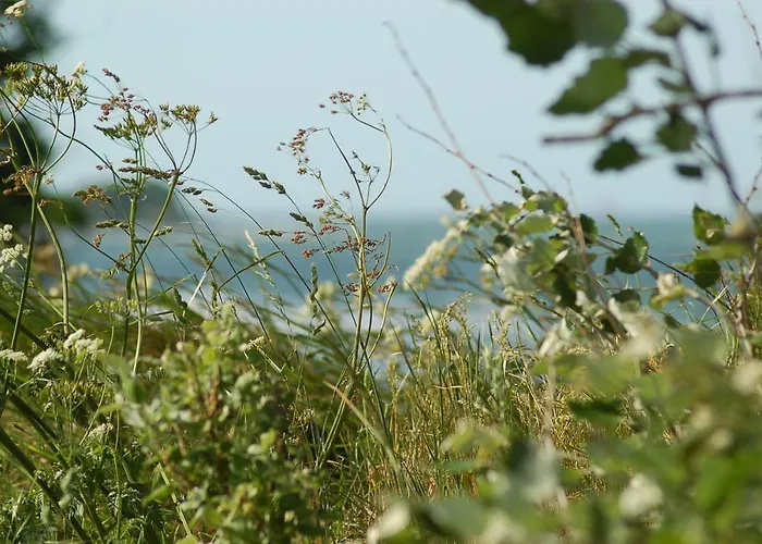 Ferienbauernhof Liesenberg Backhaus Nr 18 * Fehmarn